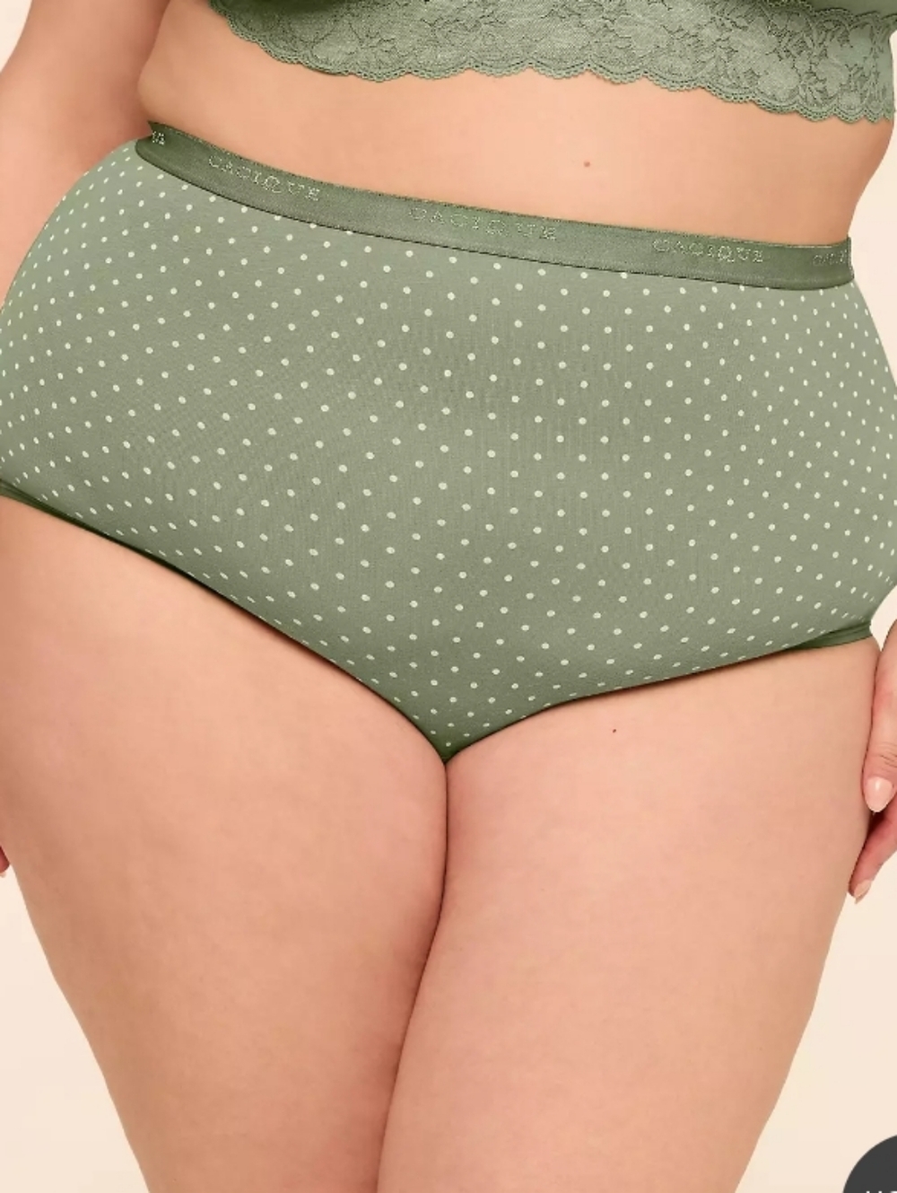 Cacique 26/28 Cotton High Waist Brief